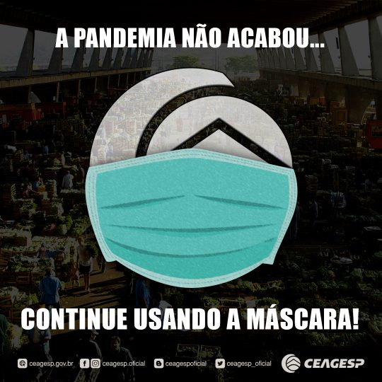 C&A Brasil aproveita bandeira amarela da pandemia para afiar