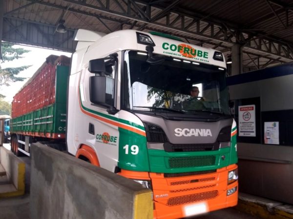 SÃO PAULO, SP - 29.05.2018: MOVIMENTO NO CEAGESP NESTA TERÇA FEIRA - After  9 days of truck stoppage, vegetable and vegetable loading begins to be  replaced in the boxes of Ceagesp, west